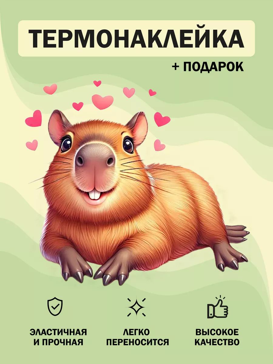 DTF термонаклейка на одежду "Капибара"